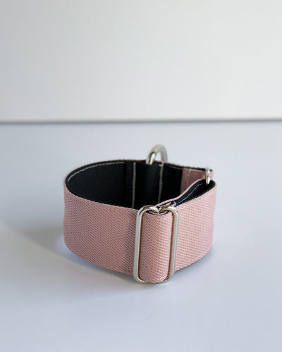 THE ROXY Dog Collar For Your Puppy