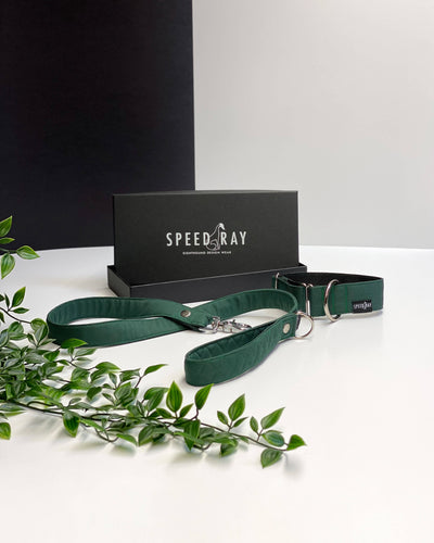 THE THEO Dog Collar For Your Puppy