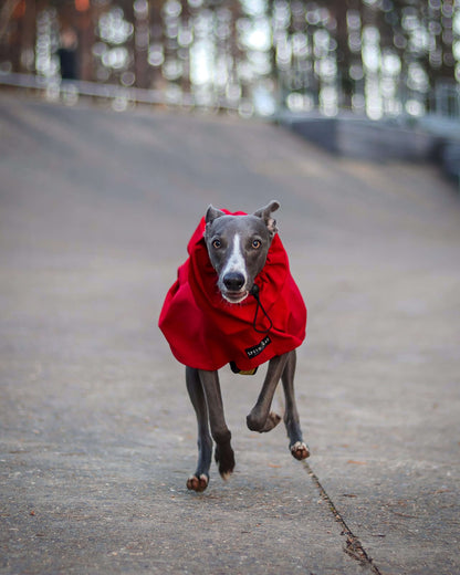 THE ROXY Lightweight, Water Resistant, Whippet Raincoat (Lights)