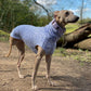 THE BELLA Daisy Lightweight Whippet T-shirt