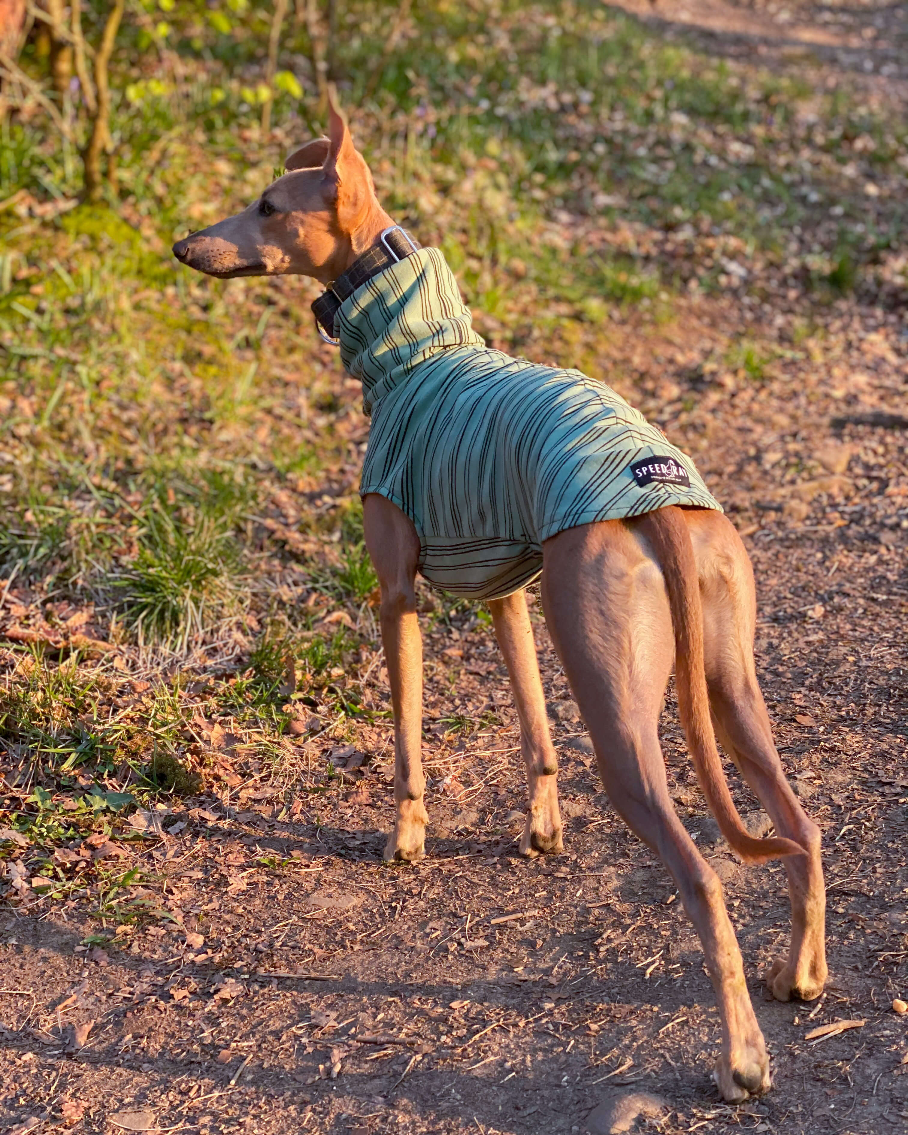 THE BEAU Organic Cotton Whippet Jumper
