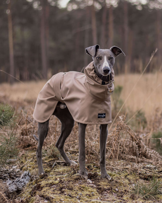THE DOBBY Lightweight Greyhound Raincoat