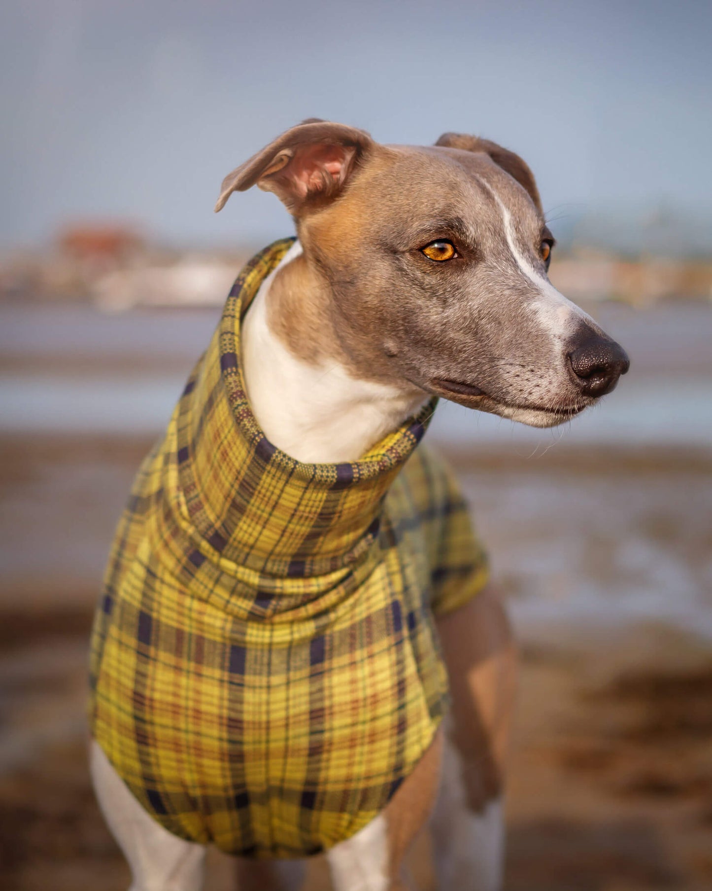 THE WILLOW Lightweight Tartan Check Whippet Jumper