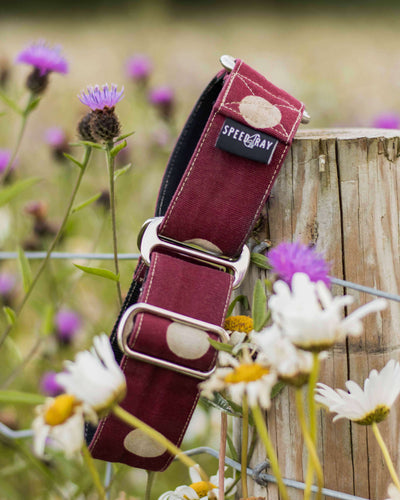 THE DIGIT Martingale Collar