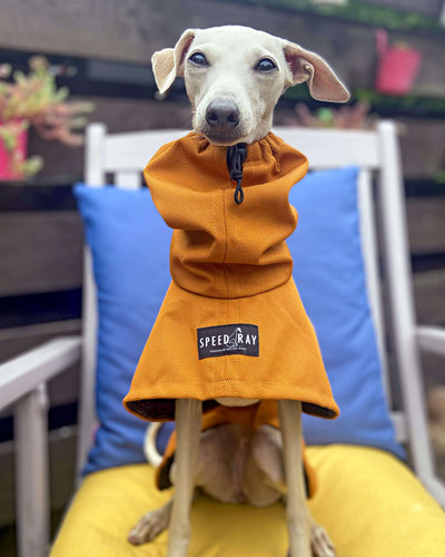 THE ROXY Raincoat - Iggy Size