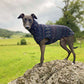 THE SAMMY Iggy Jumper
