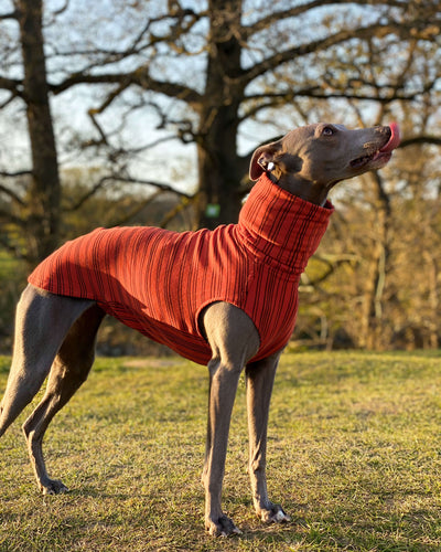 THE BEAU Organic Cotton Whippet Jumper