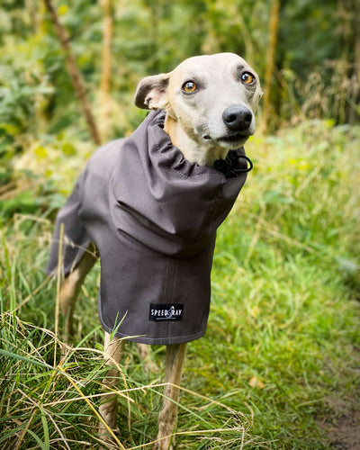 THE ROXY Lightweight, Water Resistant, Whippet Raincoat