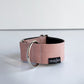 THE ROXY Dog Collar For Your Puppy