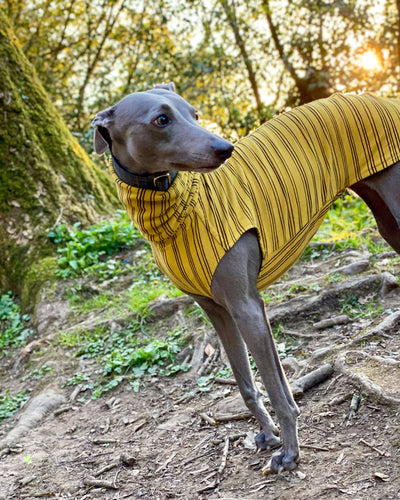 THE BEAU Organic Cotton Whippet Jumper